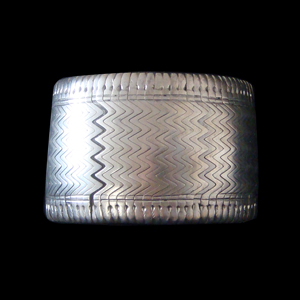 BIHARI BAZU�V���o�[