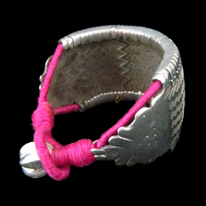 BIHARI BAZU�V���o�[